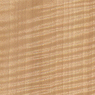 Anegre Fiddleback Longwood Category.JPG